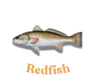 Red Fish