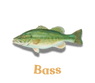 Bass