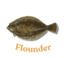 Flounder