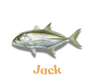 Jack